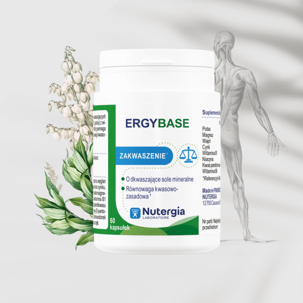 Ergybase