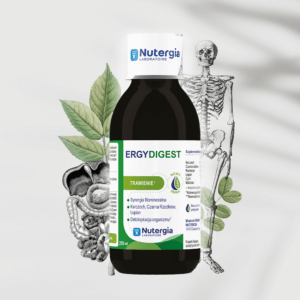Ergydigest