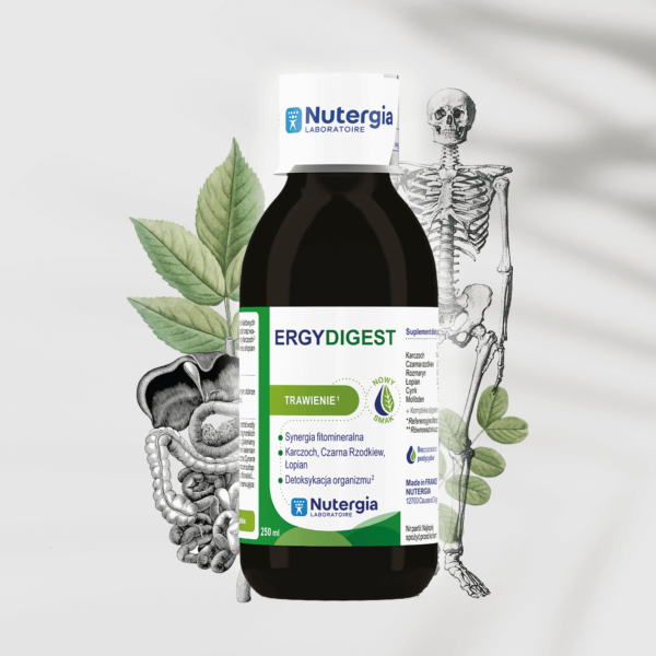 Ergydigest