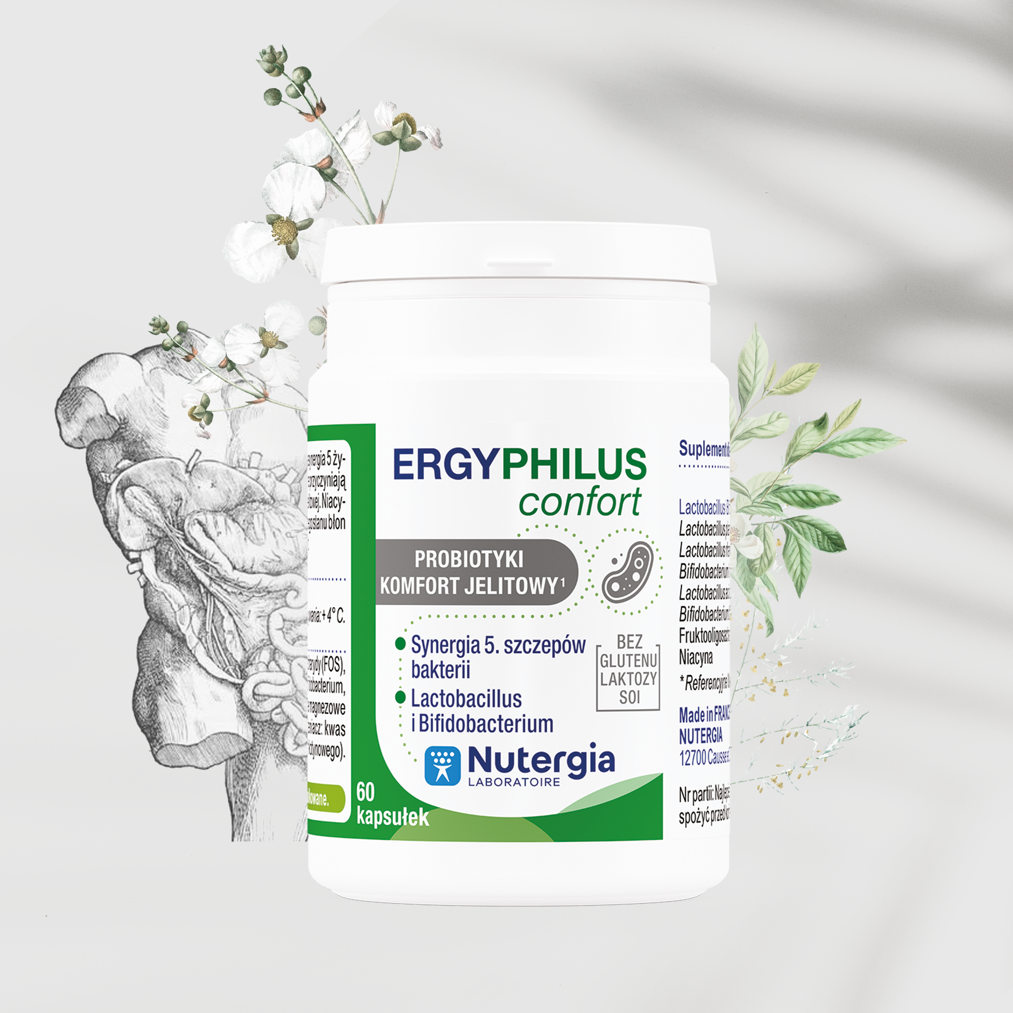 Ergyphilus Confort